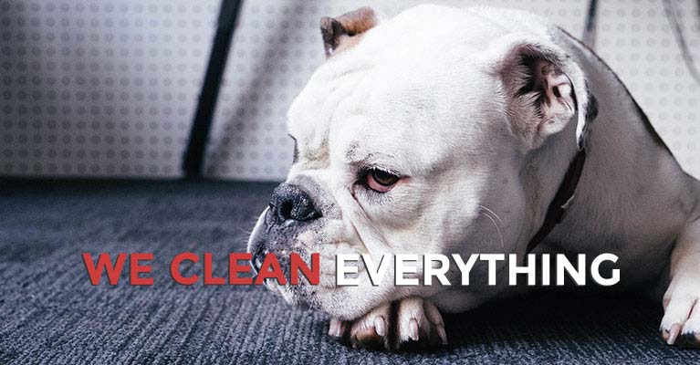 Professional Cleaning Services Professional Cleaning Services